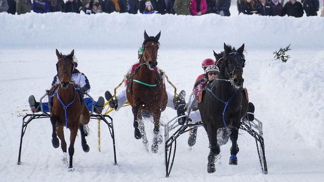 不可否认的 不可否认的